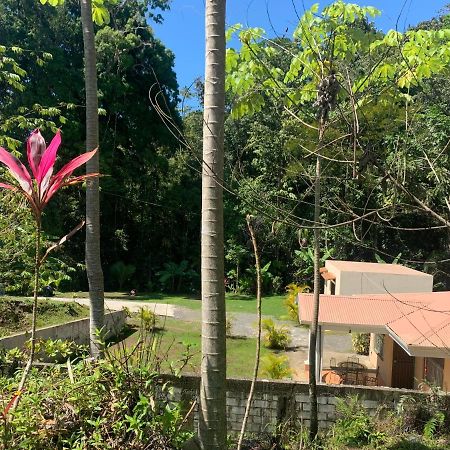 Alma Del Bosque Vacation Home And Apartments Quepos Exterior foto