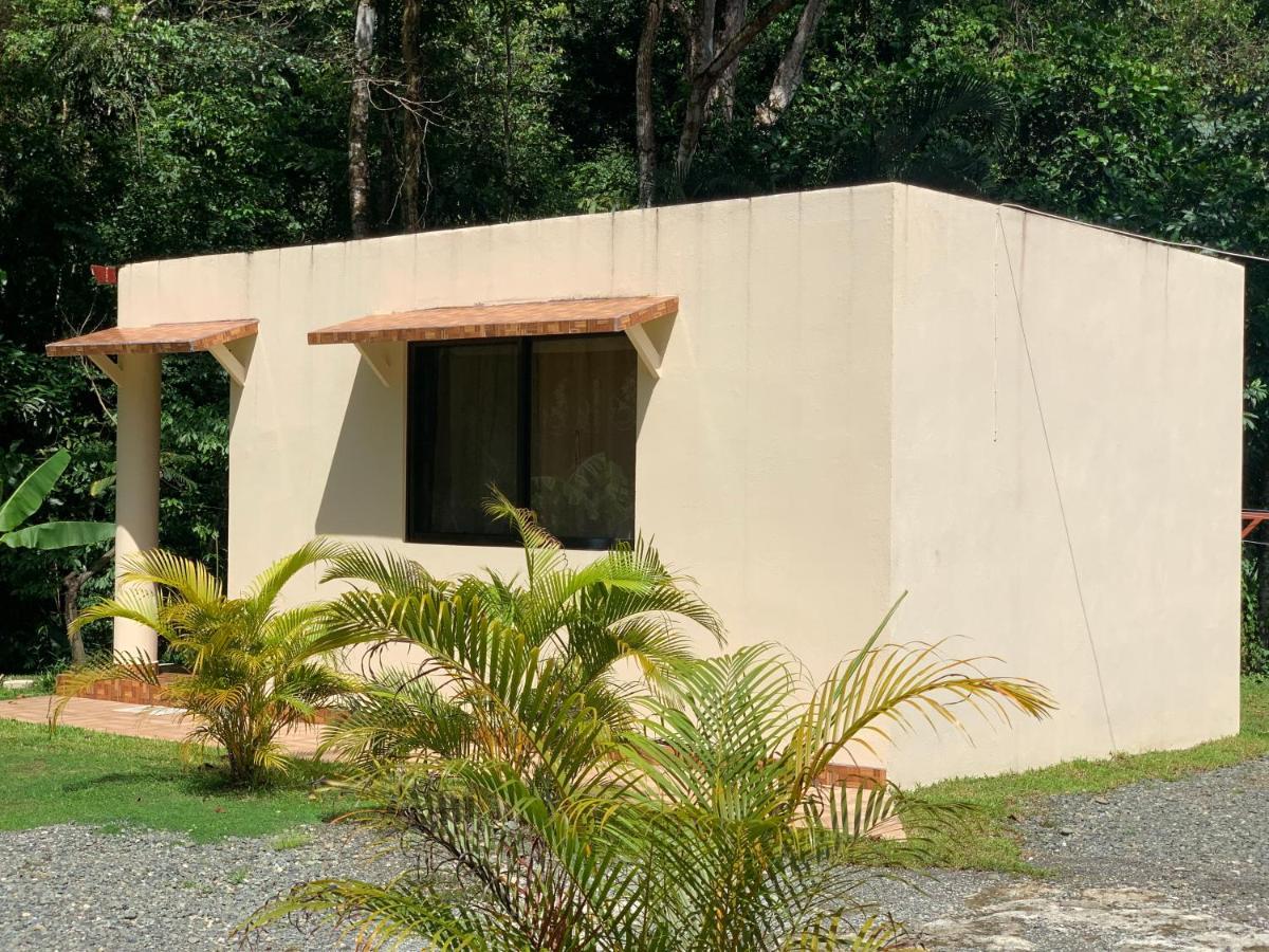 Alma Del Bosque Vacation Home And Apartments Quepos Exterior foto