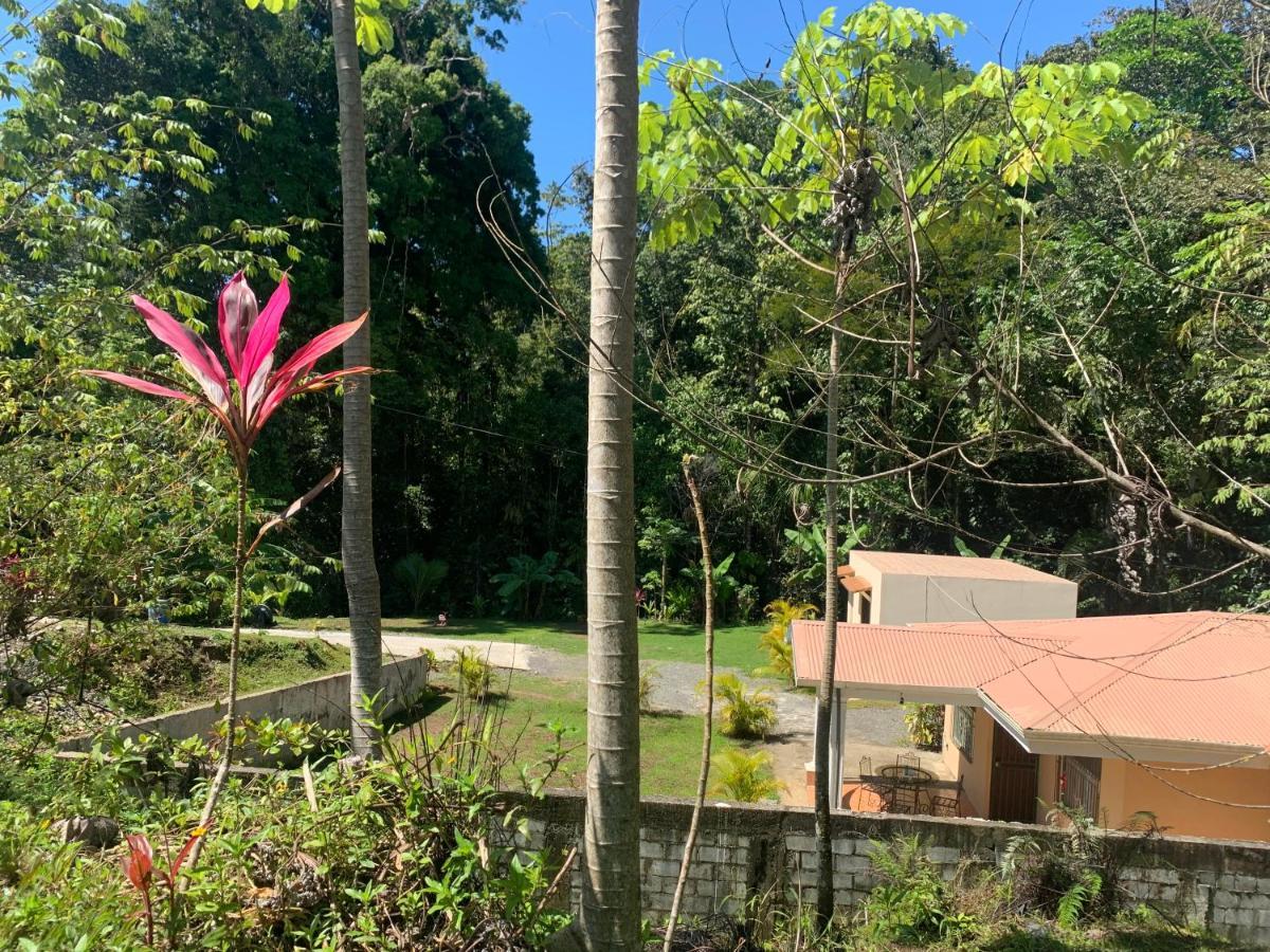 Alma Del Bosque Vacation Home And Apartments Quepos Exterior foto